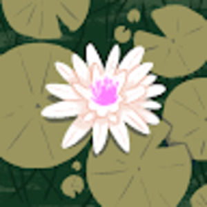 Meet your Posher, Crystal lee